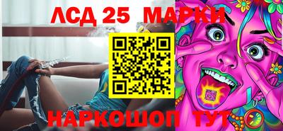 крисы Шахты