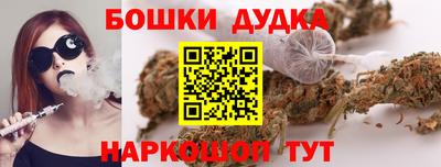 крисы Шахты