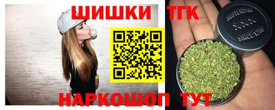 крисы Шахты