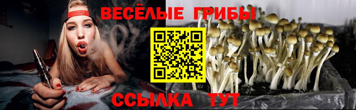 Мелеуз  Галлюциногенные грибы MAGIC MUSHROOMS  Вход с VPN 